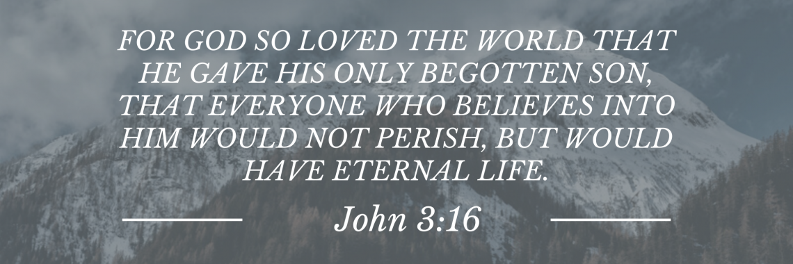 Bible John 3:16
